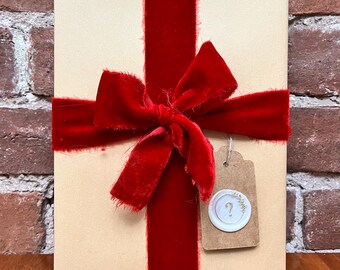 Secret Book Date: Valentine's Day Gift, Red Velvet Ribbon & Wax Seal