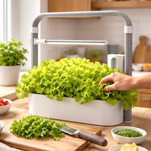 May include: An indoor hydroponic garden in white and grey, filled with vibrant green lettuce. A person's hand is reaching towards the lettuce. Chopped lettuce and a knife rest on a wooden board. Small white bowls contain other ingredients.