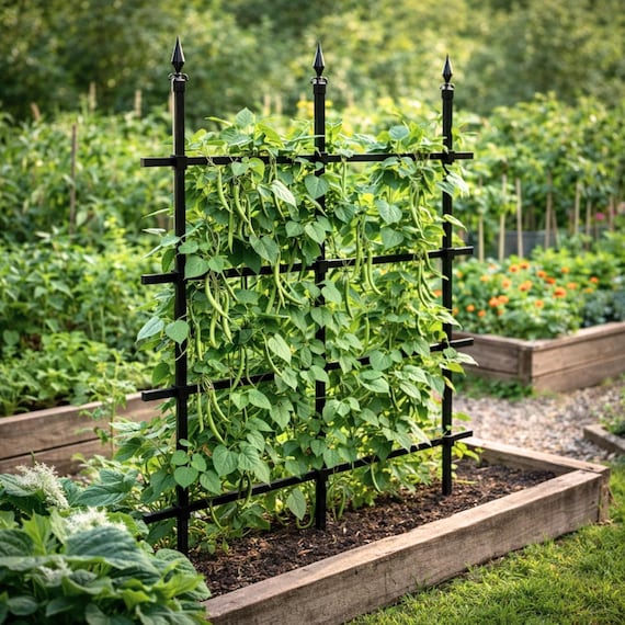 Metal Garden Trellis: Weatherproof Climbing Plant Support, Privacy Screen -  Etsy