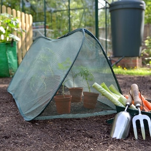 May include: A green mesh plant cover with a triangular shape, protecting young plants in pots. The cover is sitting on a bed of brown mulch. There are gardening tools and vegetables in the background.