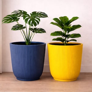 May include: Two cylindrical plant pots with vertical ribbed textures. The left pot is deep blue and contains a green monstera plant. The right pot is bright yellow and holds a green leafy plant. Both pots have a matching base tray.