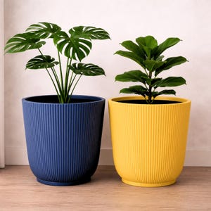 May include: Two cylindrical plant pots with vertical ribbed textures. The left pot is deep blue and contains a green monstera plant. The right pot is bright yellow and holds a green leafy plant. Both pots have a matching circular base.