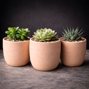 Scandi Indoor Plant Pot 10cm, 12.5cm, Pale Clay Colour | Small Planter & Drip Tray with Textured Matte Finish for Succulent Herb Home Decor