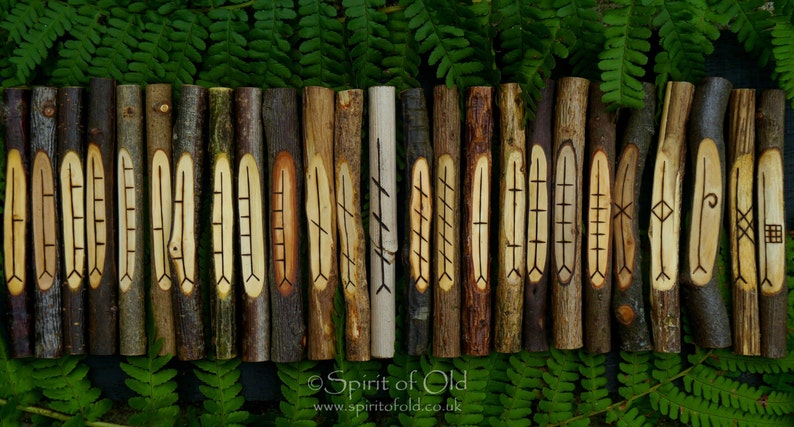ogham fews found on tree branches ogham fews found on tree branches