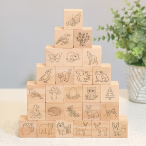 May include: A pyramid stack of light-colored wooden blocks, each featuring a unique black line-art illustration of nature-themed subjects including animals, insects, plants, and fungi, arranged in a triangular formation on a flat surface.
