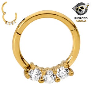 2Pcs Surgical Steel 8mm 10mm Gem Hinged Hoop Segment Ring Helix Tragus Septum Clicker Nose Earrings Unisex Body Piercing Jewellery