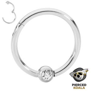 2Pcs Surgical Steel 6mm-10mm Gem BCR Ball Closure Hinged Hoop Segment Ring Helix Tragus Septum Clicker Nose Earrings Body Piercing Jewellery