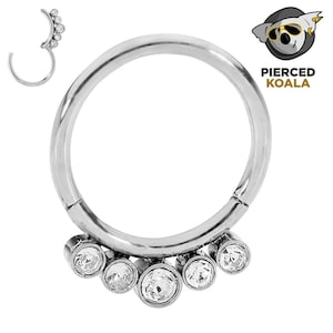 2Pcs Surgical Steel 8mm 10mm Gem Hinged Hoop Segment Ring Helix Tragus Septum Clicker Nose Earrings Unisex Body Piercing Jewellery
