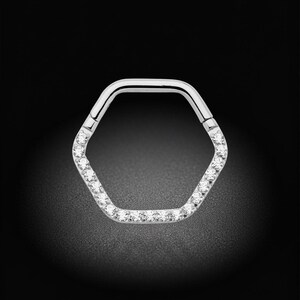 2 Stück Titan-Sechseck-Ohrringe mit Scharnier, Segmentring, Piercingschmuck