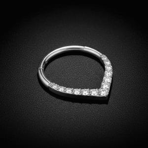 2 Stück Titan-Ohrringe in Tropfenform mit Scharnier, Segmentring-Design, Körperschmuck
