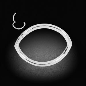 2pcs Surgical Steel Oval Hinged Hoop Segment Ring Clicker Earrings Body Piercing Jewellery