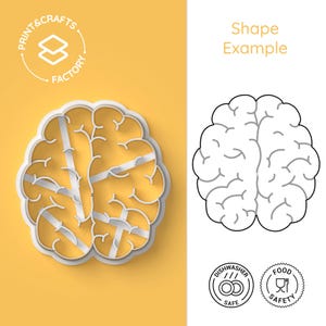 May include: White plastic cookie cutter shaped like a human brain. The cutter is shown on a yellow background with a line drawing of the brain on the right side of the image. The image also includes two circular logos, one for dishwasher safe and one for food safe.