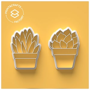 Set formine per biscotti succulente - Piante, deserto, giardino, cactus e piante grasse - Stampo per biscotti divertente e pungente per dolci creativi