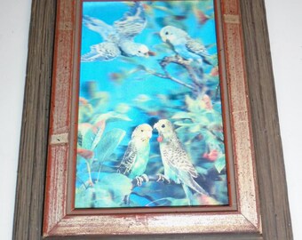 Budgie exotic tropical birds print framed vintage