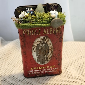 May include: A repurposed red Prince Albert tobacco tin, adorned with a miniature garden. The tin features the text "Prince Albert" and "Crimp Cut" in gold lettering. The garden includes moss, small figurines, and decorative elements.