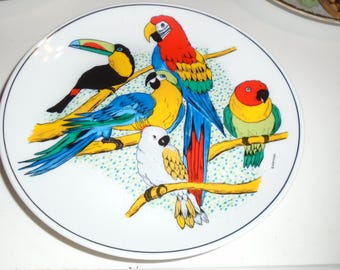 Exotic bird decorative plate parrots, toucan and cockatiel