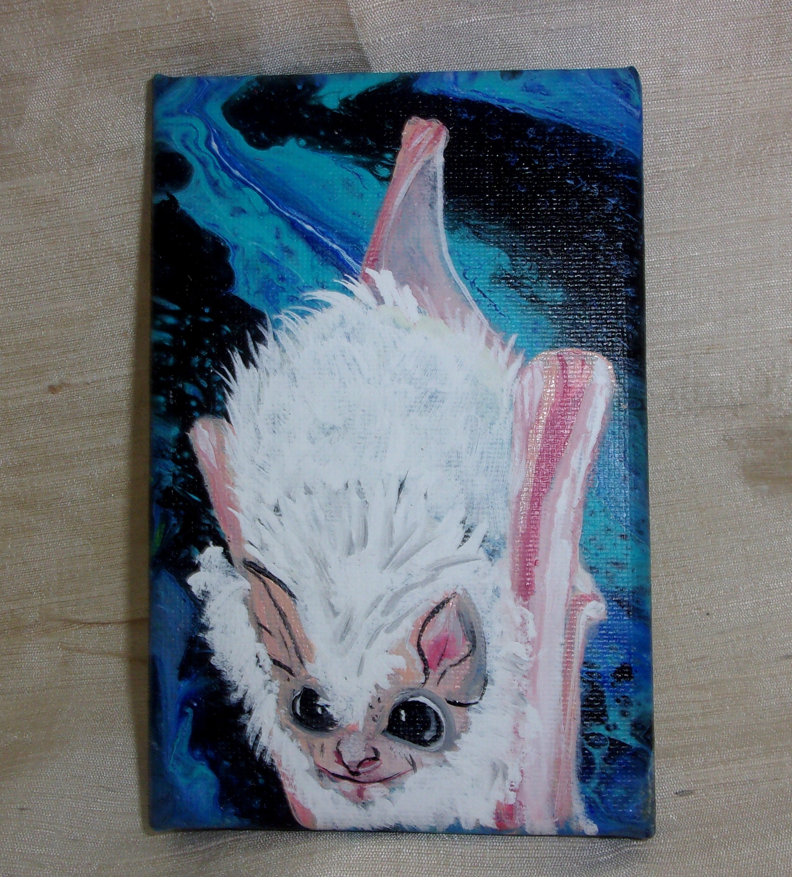 Chauve Souris De Bebe Albinos Etsy