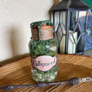 Gillyweed | Wizarding World | Herbology | bookshelf decor| decorative potion bottle | Halloween decor | Harry