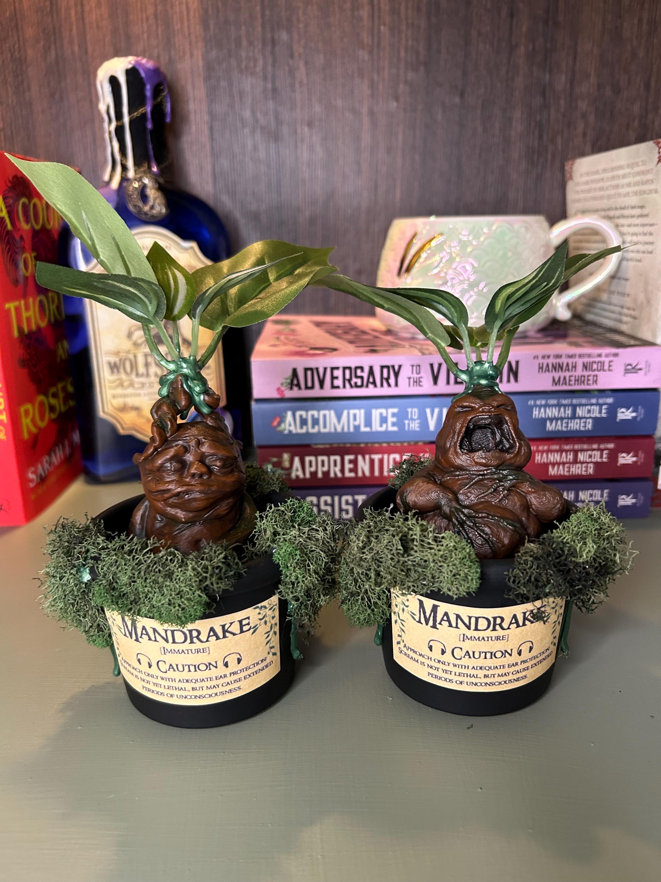 Baby Mandrake | Harry | Bookshelf Decor | Halloween Decor