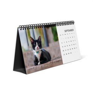 2027 Cat Calendar, Funny Quote Desk Calendar image 4