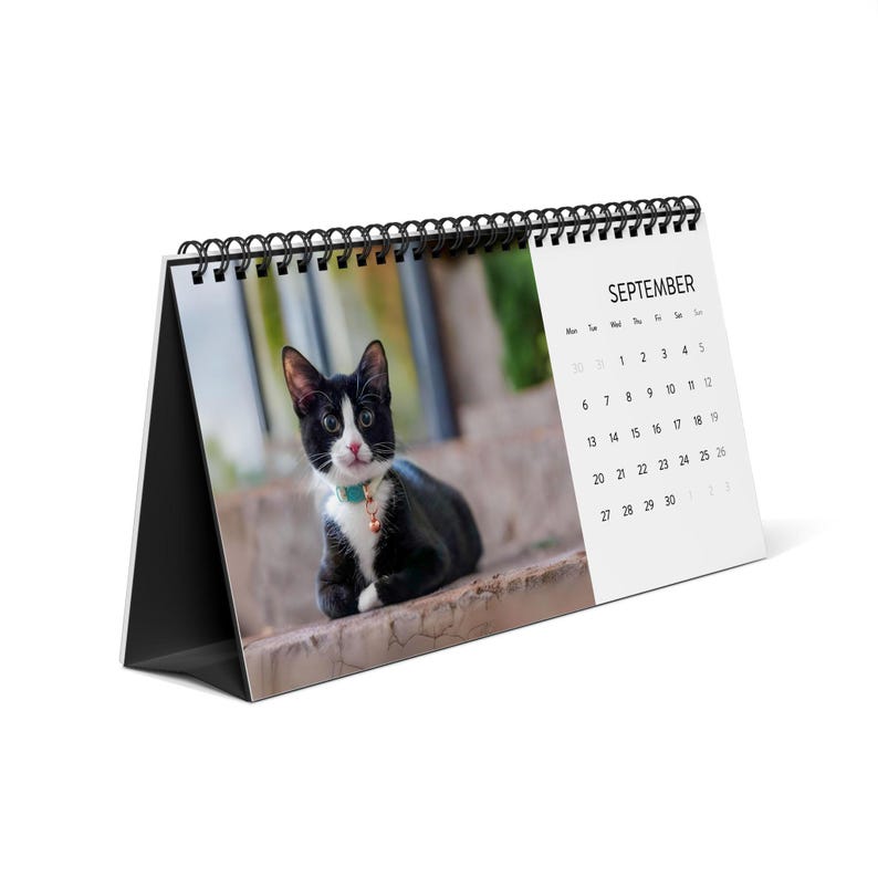 2027 Cat Calendar, Funny Quote Desk Calendar image 4