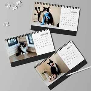 2027 Cat Calendar, Funny Quote Desk Calendar image 5