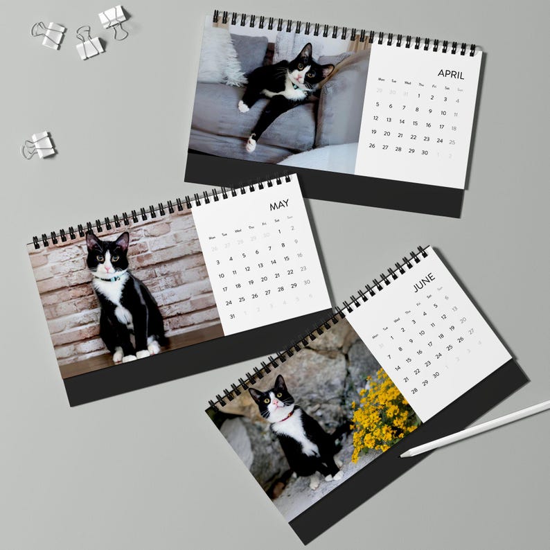 2027 Cat Calendar, Funny Quote Desk Calendar image 2