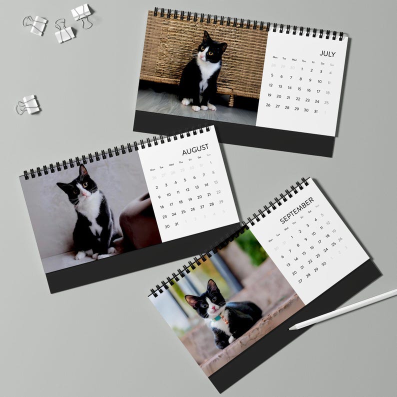 2027 Cat Calendar, Funny Quote Desk Calendar image 8