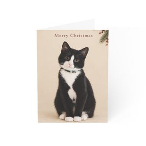 Tuxedo Cat Greeting Cards | Pack of 1, 10, 30, 50 pcs