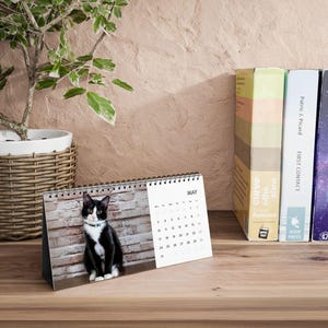 2027 Cat Calendar, Funny Quote Desk Calendar image 1