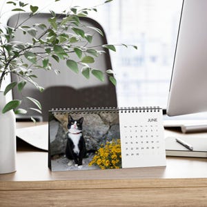 2027 Cat Calendar, Funny Quote Desk Calendar image 6