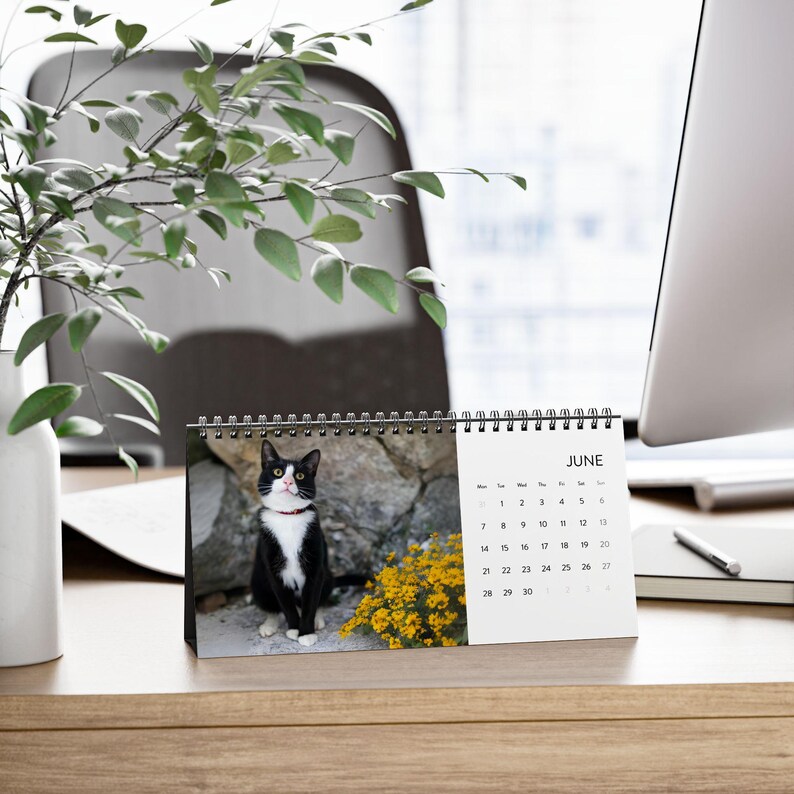 2027 Cat Calendar, Funny Quote Desk Calendar image 6