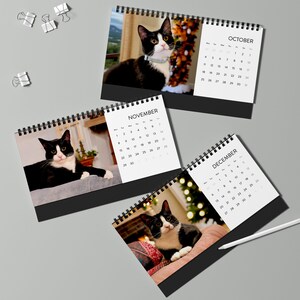 2027 Cat Calendar, Funny Quote Desk Calendar image 9