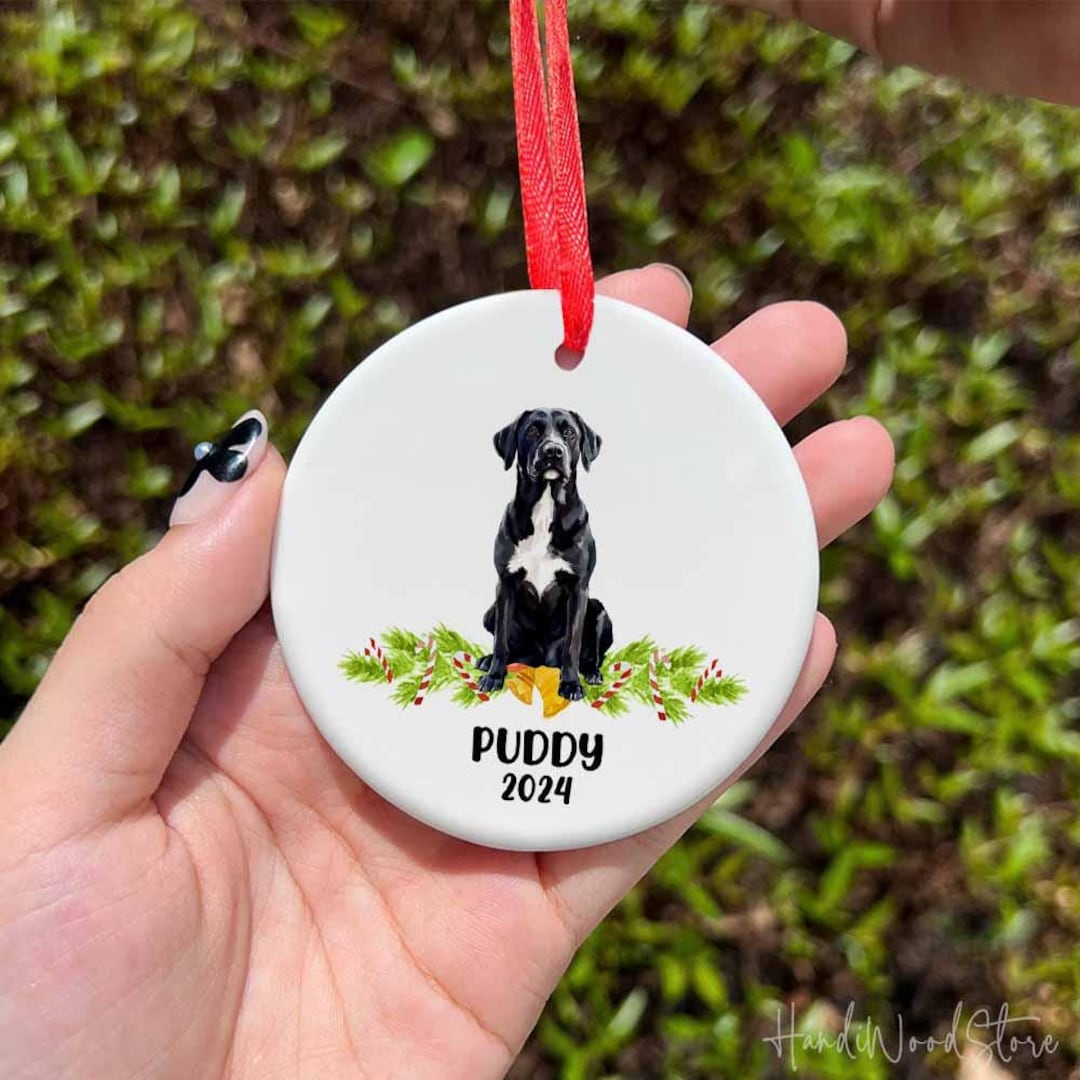 Black Labrador With White Chest Ornament, Personalized Dog Christmas