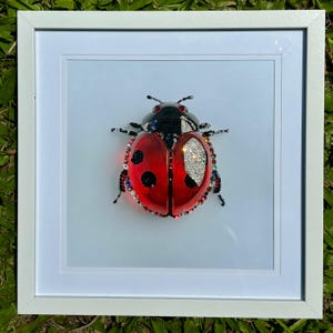 Une image d'une coccinelle tropicale en verre avec des cristaux