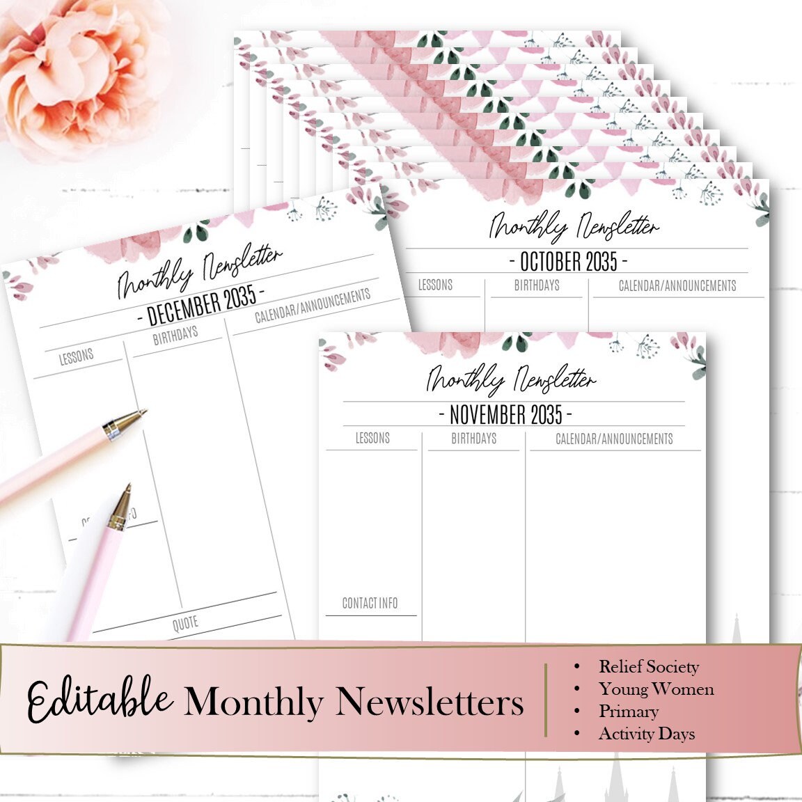 EDITABLE 2024 Relief Society Planner INSTANT DOWNLOAD - Etsy