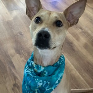 Dog Bandanas no tie collar covers