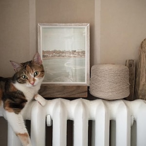 May include: A calico cat sits on a white radiator with a framed photograph of a beach scene and a ball of yarn behind it.
