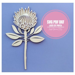 May include: A laser-cut wooden protea flower with detailed petals and leaves. The flower is light-colored and set against a blue background. A pink circle with white text that reads "SVG PDF DXF Laser Cut Protea" is in the upper right corner.