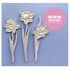 May include: Three-dimensional paper daffodils in a layered design, with a light beige color and detailed petal and stem features. The image includes the text "SVG PDF DXF LASER CUT DAFFODILS" in a pink circle.