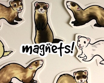 Cute Ferret Decorative Magnets Pack of 8 - Custom Made to Order