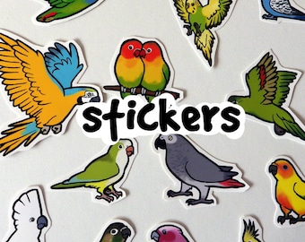 Assortiment papegaaistickers - Ondersteuning CT Parrot Rescue - op bestelling gemaakt