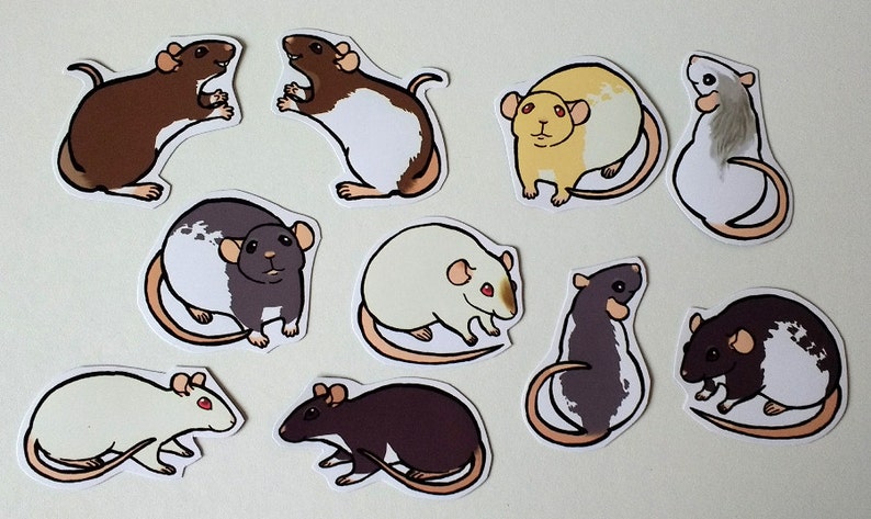 Cute Fancy Rat Stickers Pack of 8 to 10 Made to Order image 3