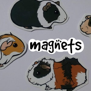 Cute Guinea Pig Decorative Magnets Pack of 8 - Custom Made to Order