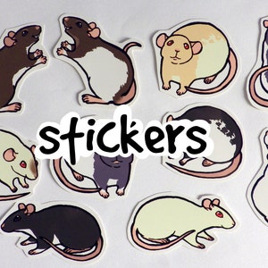 Cute Fancy Rat Stickers Pack of 8 to 10 Made to Order image 1