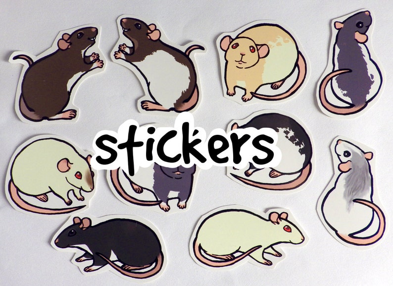 Cute Fancy Rat Stickers Pack of 8 to 10 Made to Order image 1