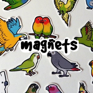 Parrot Decorative Fridge Magnets - Supporting CT Parrot Rescue - made to order