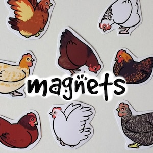 Cute Decorative Chicken Magnets Pack of 8 image 1