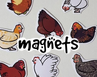 Cute  Decorative Chicken Magnets! Pack of 8
