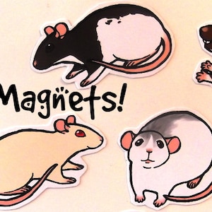 Cute Fancy Rat Decorative Magnets! Pack of 8 - Custom Made to Order
